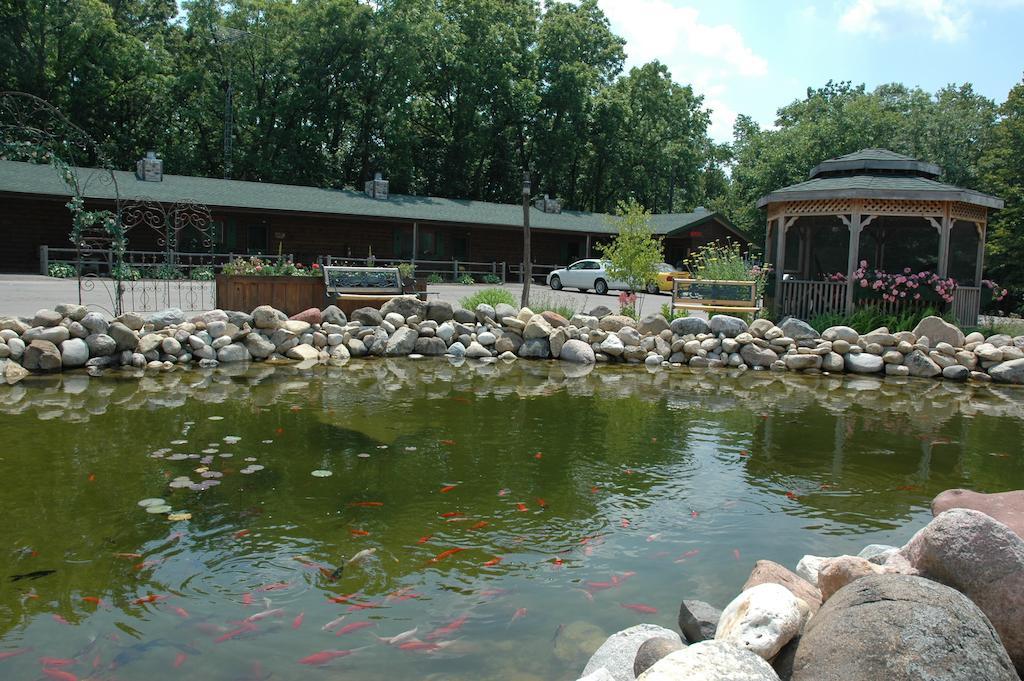 Bed and Breakfast Lazy Cloud Williams Bay Exterior foto